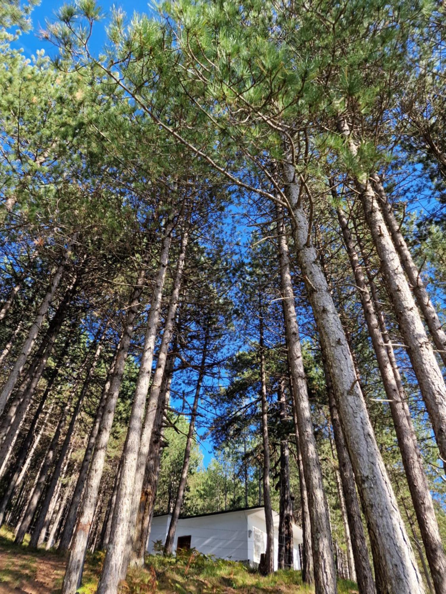 Вілла Bujtinat Skenderi Gjinar 2 Номер фото
