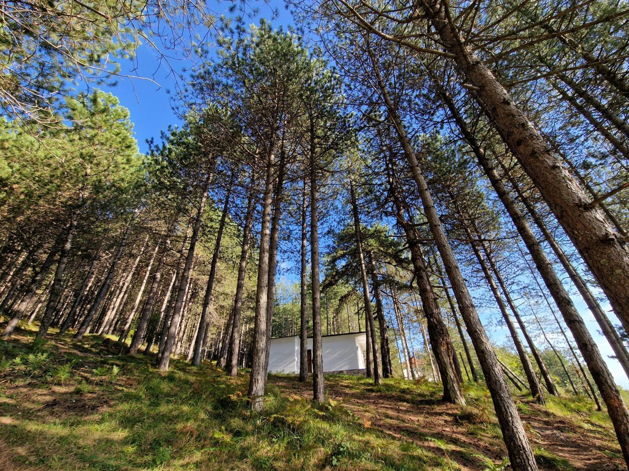 Вілла Bujtinat Skenderi Gjinar 2 Номер фото